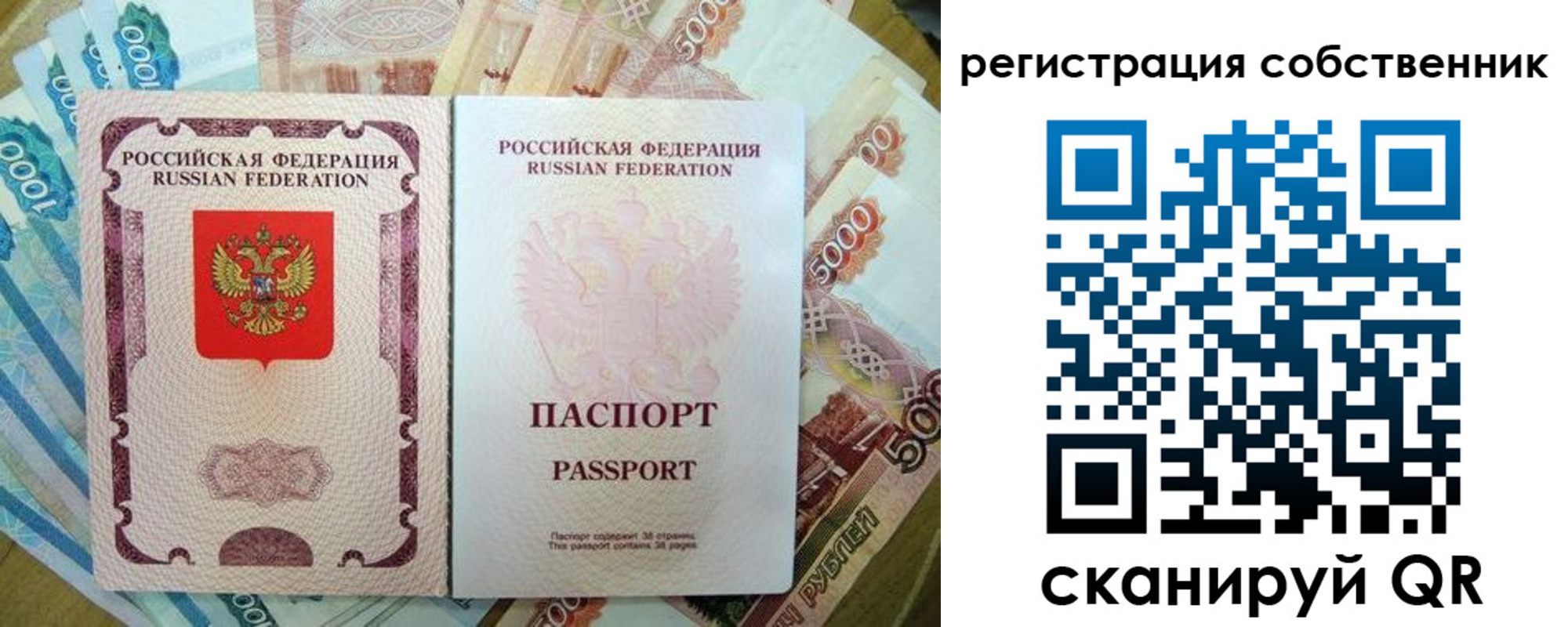 прописка гарантия в Опочке